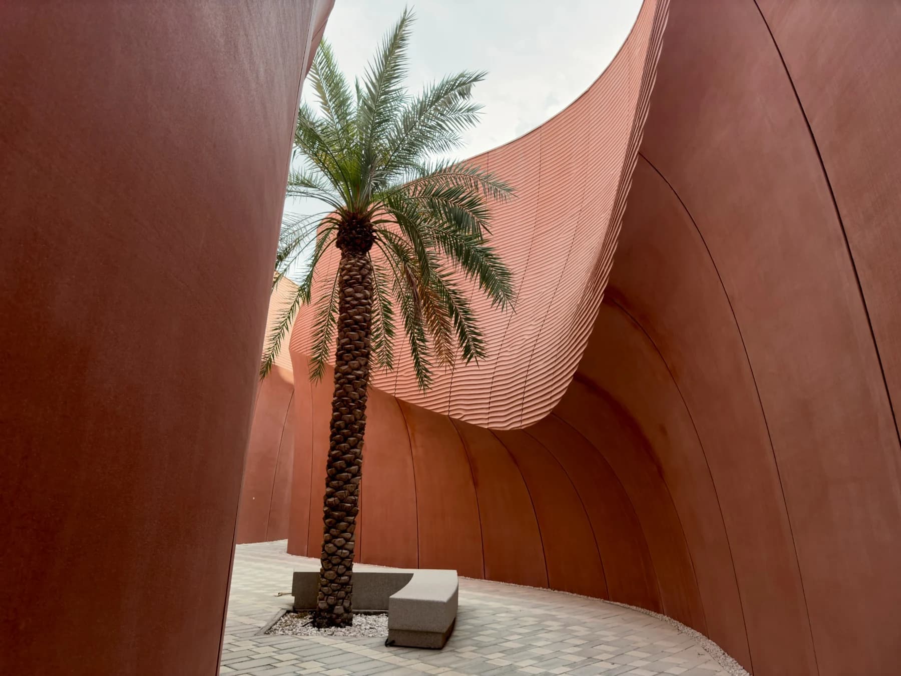 Palm tree beside sculptural terracotta architecture